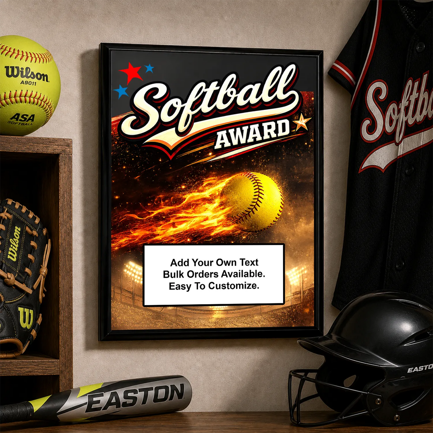 Personalized Softball Award Plaques - Design 1