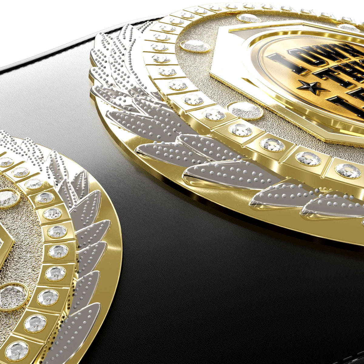 Fantasy Football Presidential Championship Belt - I Own This League