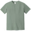 Comfort Colors 1717 FRONT And BACK Print