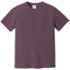 Comfort Colors 1717 FRONT And BACK Print