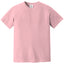 Comfort Colors 1717 FRONT And BACK Print