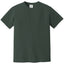 Comfort Colors 1717 FRONT And BACK Print