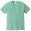 Comfort Colors 1717 FRONT And BACK Print