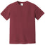Comfort Colors 1717 FRONT And BACK Print