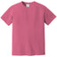 Comfort Colors 1717 FRONT And BACK Print