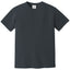 Comfort Colors 1717 FRONT And BACK Print