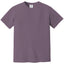 Comfort Colors 1717 FRONT And BACK Print