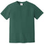 Comfort Colors 1717 FRONT And BACK Print