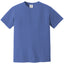 Comfort Colors 1717 FRONT And BACK Print