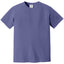 Comfort Colors 1717 FRONT And BACK Print