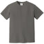 Comfort Colors 1717 FRONT And BACK Print