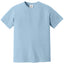 Comfort Colors 1717 FRONT And BACK Print