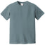 Comfort Colors 1717 FRONT And BACK Print