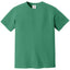 Comfort Colors 1717 FRONT And BACK Print