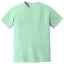 Comfort Colors 1717 FRONT And BACK Print