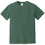 Comfort Colors 1717 FRONT And BACK Print