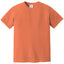 Comfort Colors 1717 FRONT And BACK Print
