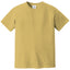 Comfort Colors 1717 FRONT And BACK Print