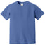 Comfort Colors 1717 FRONT And BACK Print
