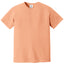 Comfort Colors 1717 FRONT And BACK Print