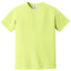 Comfort Colors 1717 FRONT And BACK Print