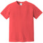 Comfort Colors 1717 FRONT And BACK Print
