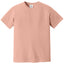 Comfort Colors 1717 FRONT And BACK Print