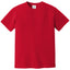 Comfort Colors 1717 FRONT And BACK Print