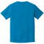 Comfort Colors 1717 T-Shirt - Back Print Only