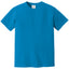Comfort Colors 1717 FRONT And BACK Print
