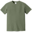 Comfort Colors 1717 FRONT And BACK Print
