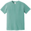 Comfort Colors 1717 FRONT And BACK Print