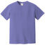 Comfort Colors 1717 FRONT And BACK Print