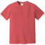 Comfort Colors 1717 FRONT And BACK Print