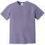 Comfort Colors 1717 FRONT And BACK Print