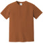 Comfort Colors 1717 FRONT And BACK Print