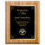 Shining Star Appreciation Award -  Personalized Corporate Recognition Award Available in 4 Colors & 3 Sizes