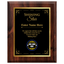 Shining Star Appreciation Award -  Personalized Corporate Recognition Award Available in 4 Colors & 3 Sizes