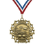 2.25" 10 Star Swimming Medal – Gold, Silver & Bronze with 30 Ribbon Options