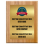 Personalized Corporate Plaque with Logo – Fixed Text Fields on Gold or Silver Metal Plate