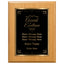 Award of Excellence Classic Plaque With Gold Plate - 4 Frame Colors
