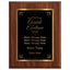 Award of Excellence Classic Plaque With Gold Plate - 4 Frame Colors