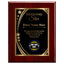 Shining Star Classic Appreciation Plaque With Gold Plate - 4 Frame Colors