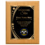 Shining Star Classic Appreciation Plaque With Gold Plate - 4 Frame Colors
