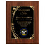 Shining Star Classic Appreciation Plaque With Gold Plate - 4 Frame Colors