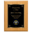 Shining Star Classic Appreciation Plaque With Gold Plate - 4 Frame Colors