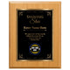 Shining Star Classic Appreciation Plaque With Gold Plate - 4 Frame Colors
