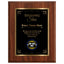 Shining Star Classic Appreciation Plaque With Gold Plate - 4 Frame Colors