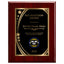 Recognition Classic Plaque With Gold Plate - 4 Frame Colors