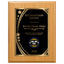 Recognition Classic Plaque With Gold Plate - 4 Frame Colors